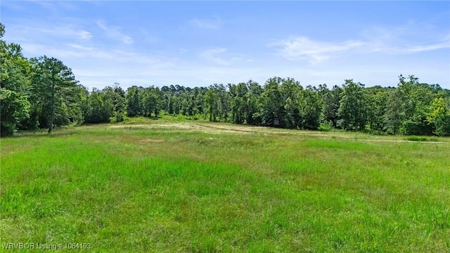01 Yeaman Ln, Mount Ida, AR 71957 - photo 46