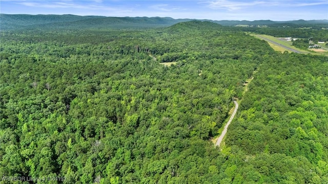 01 Yeaman Ln, Mount Ida, AR 71957 - photo 27