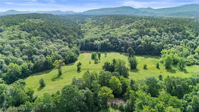 01 Yeaman Ln, Mount Ida, AR 71957 - photo 1