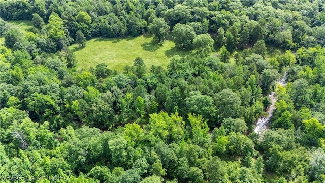 01 Yeaman Ln, Mount Ida, AR 71957 - photo 40
