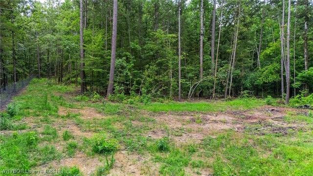 01 Yeaman Ln, Mount Ida, AR 71957 - photo 19