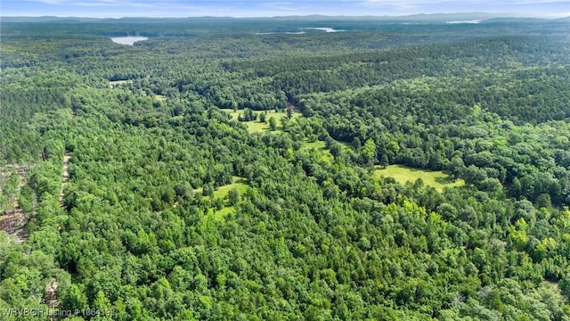 01 Yeaman Ln, Mount Ida, AR 71957 - photo 37