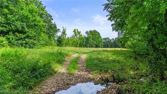 01 Yeaman Ln, Mount Ida, AR 71957 - photo 56