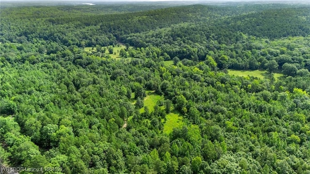01 Yeaman Ln, Mount Ida, AR 71957 - photo 38