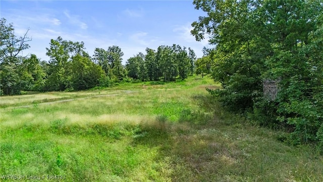 01 Yeaman Ln, Mount Ida, AR 71957 - photo 45