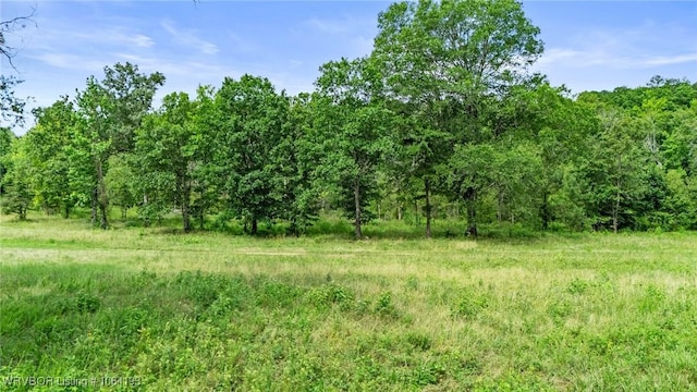 01 Yeaman Ln, Mount Ida, AR 71957 - photo 53