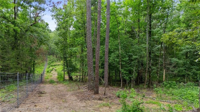 01 Yeaman Ln, Mount Ida, AR 71957 - photo 18