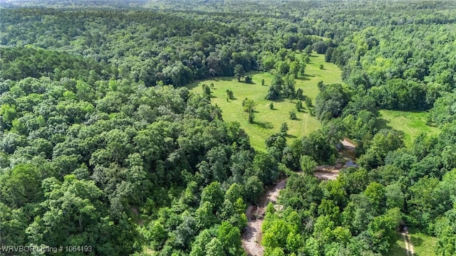 01 Yeaman Ln, Mount Ida, AR 71957 - photo 33