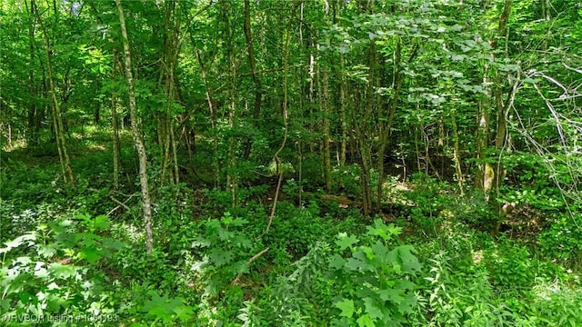 01 Yeaman Ln, Mount Ida, AR 71957 - photo 12