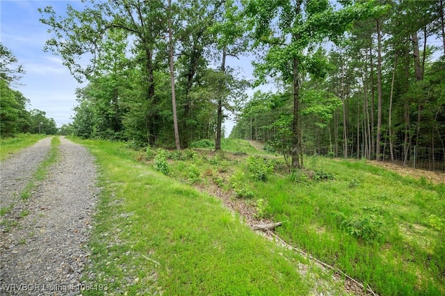 01 Yeaman Ln, Mount Ida, AR 71957 - photo 23