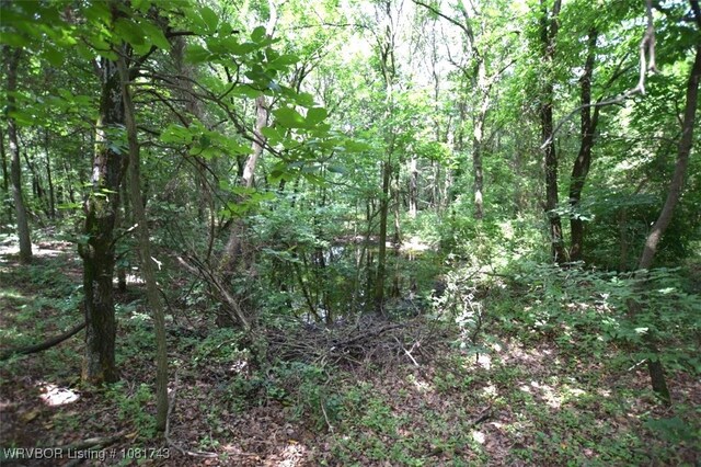 12401 Readings Rd, Gentry, AR 72734 - photo 11