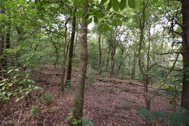 12401 Readings Rd, Gentry, AR 72734 - photo 9
