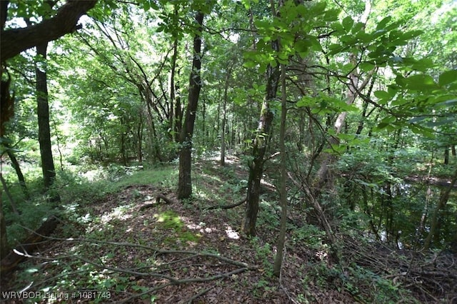 12401 Readings Rd, Gentry, AR 72734 - photo 12