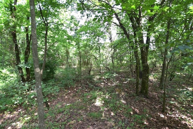 12401 Readings Rd, Gentry, AR 72734 - photo 13