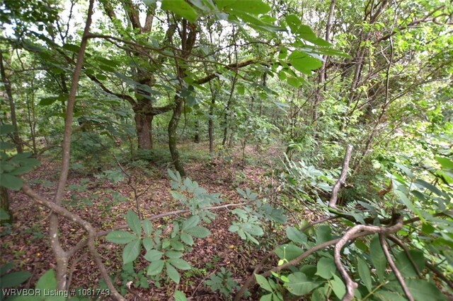 12401 Readings Rd, Gentry, AR 72734 - photo 8