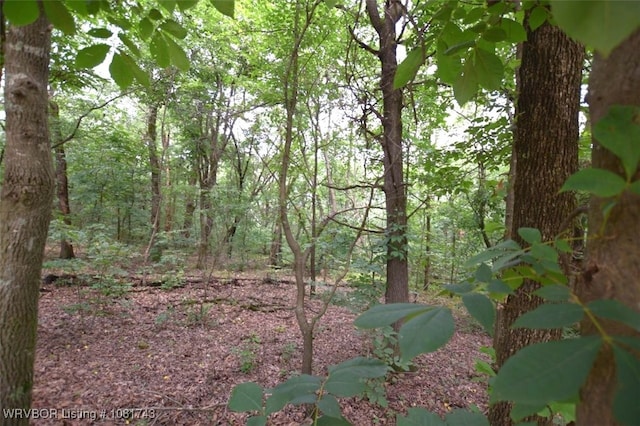 12401 Readings Rd, Gentry, AR 72734 - photo 10