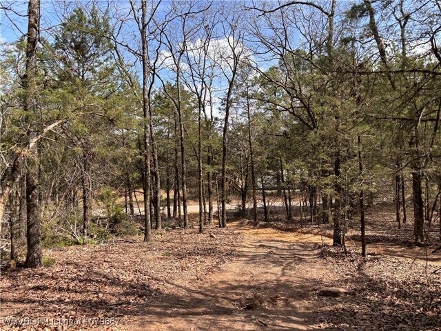 11125 Revis Hill Rd, Mountainburg, AR 72946
