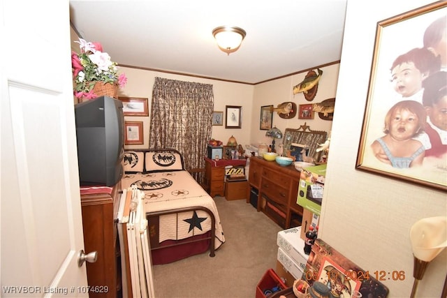 interior space with ornamental molding