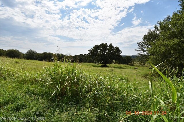 view of nature featuring a rural view