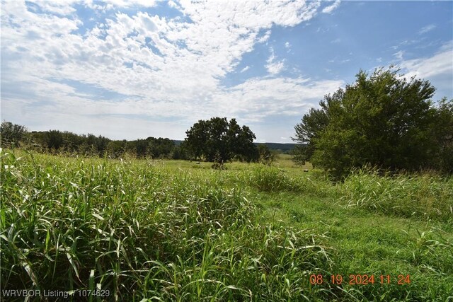 view of local wilderness with a rural view