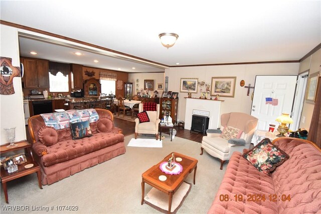 living room featuring ornamental molding