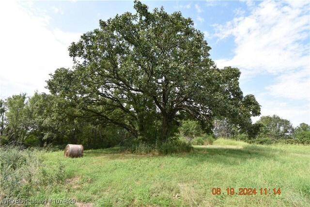 view of local wilderness