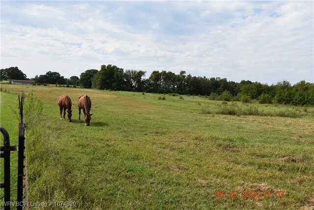 view of yard featuring a rural view