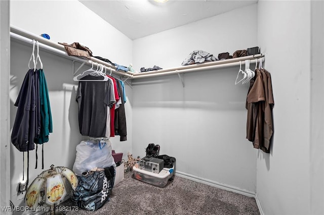 7 Bon Air St, Van Buren, AR 72956 - walk in closet featuring carpet flooring