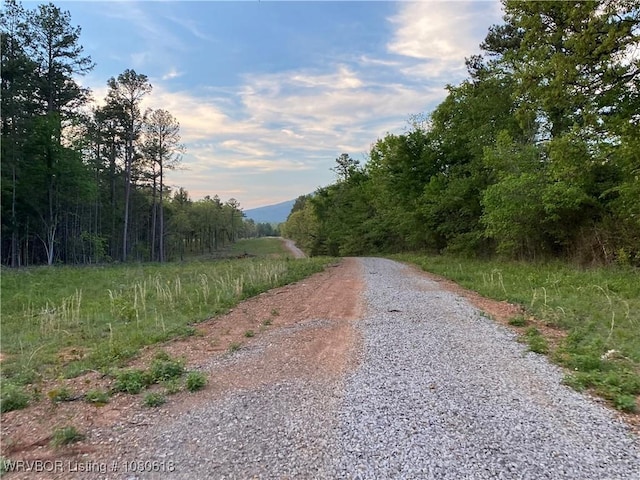 TBDLOT3 W Hartford Rd, Hartford, AR 72938 - photo 1