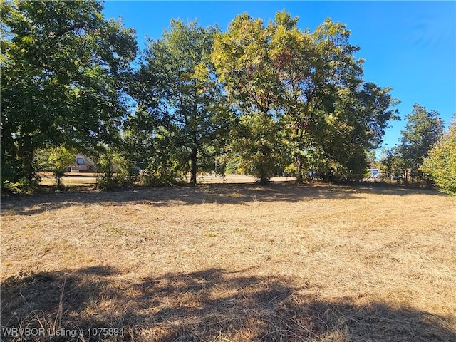 Listing photo 3 for TBD Pennington Dr, Paris AR 72855