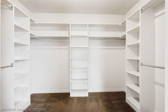 spacious closet featuring dark colored carpet