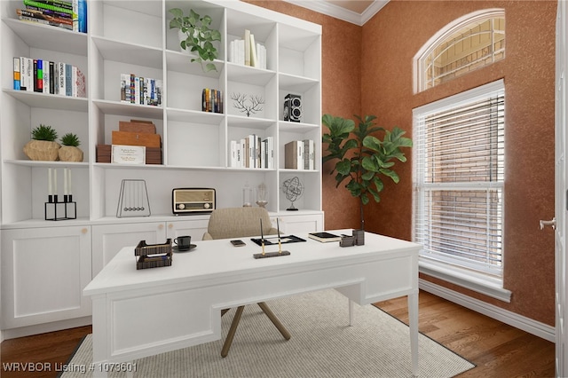 office featuring hardwood / wood-style floors, crown molding, and a wealth of natural light