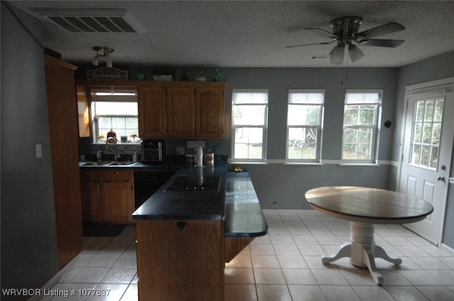 kitchen featuring stovetop, a wealth of natural light, and sink