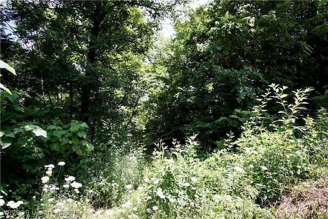 TBD N Devils Den Rd, Winslow, AR 72959 - photo 2
