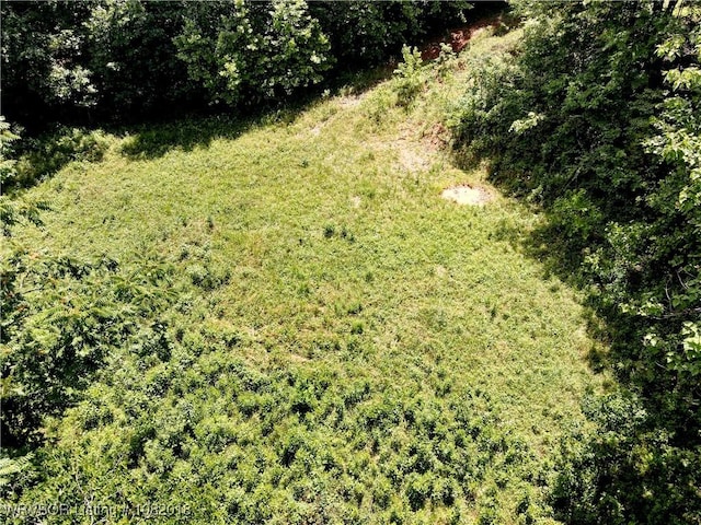 TBD N Devils Den Rd, Winslow, AR 72959 - photo 14