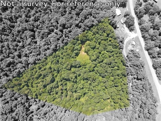 TBD N Devils Den Rd, Winslow, AR 72959 - photo 13