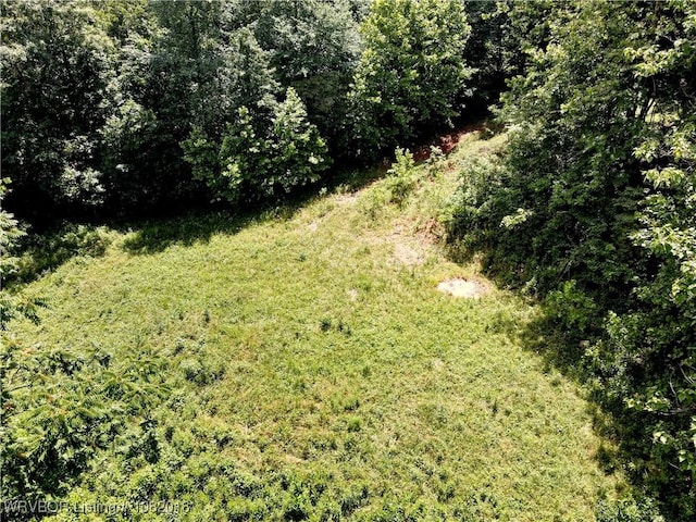 TBD N Devils Den Rd, Winslow, AR 72959 - photo 15