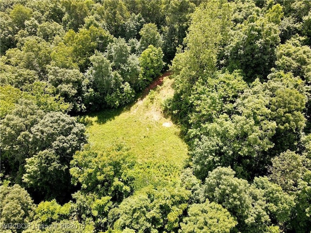 TBD N Devils Den Rd, Winslow, AR 72959 - photo 4
