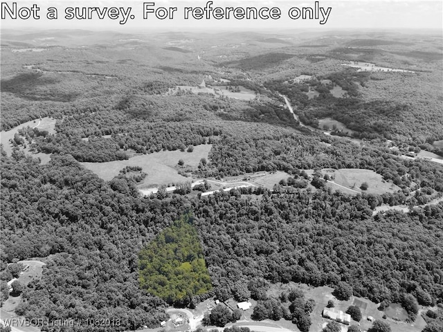 TBD N Devils Den Rd, Winslow, AR 72959 - photo 8