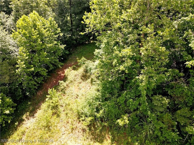 TBD N Devils Den Rd, Winslow, AR 72959 - photo 3