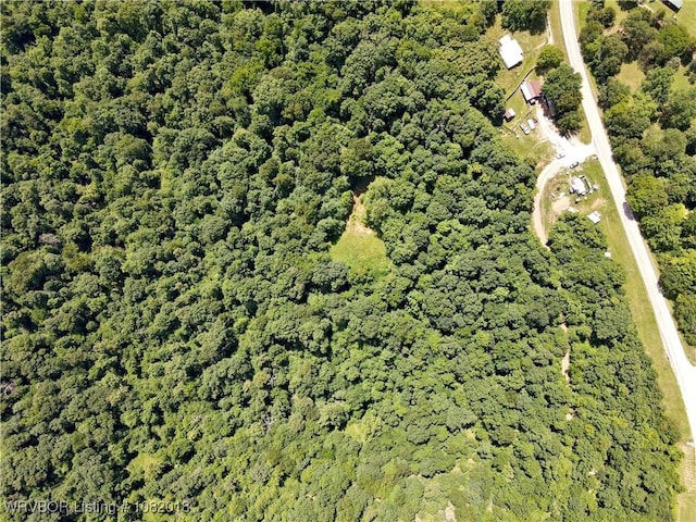 TBD N Devils Den Rd, Winslow, AR 72959 - photo 12