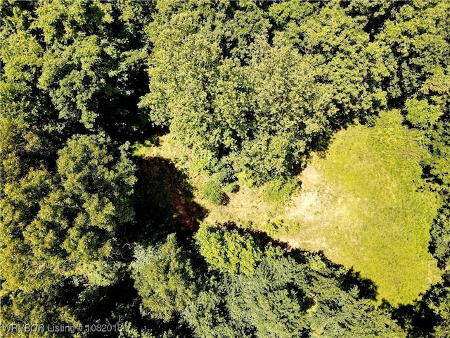 TBD N Devils Den Rd, Winslow, AR 72959 - photo 1