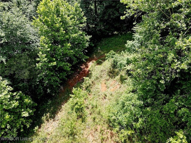 TBD N Devils Den Rd, Winslow, AR 72959 - photo 16