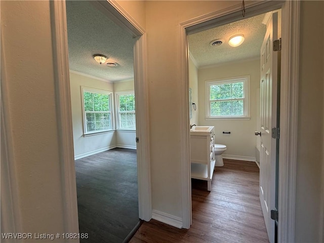 1505 E Main St, Lavaca, AR 72941 - bathroom featuring a textured ceiling, crown molding, plenty of natural light, vanity, and wood finished floors
