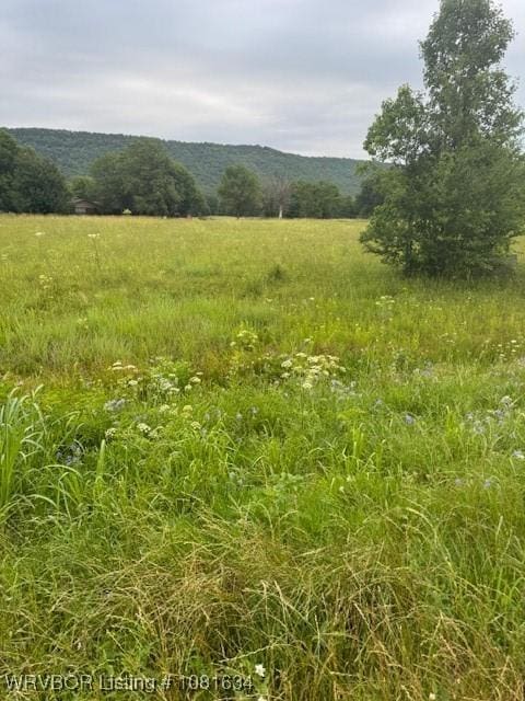 TBD W State Highway 22, Paris, AR 72855 - photo 1