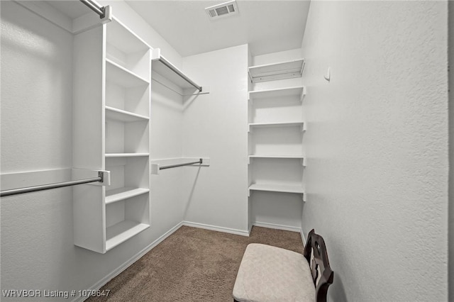 spacious closet with visible vents and carpet flooring