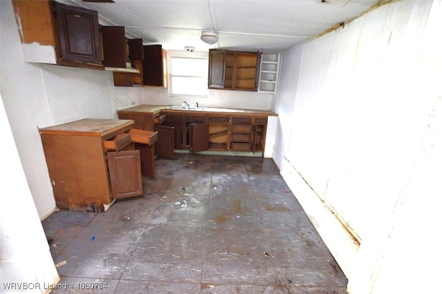 kitchen featuring a sink and open shelves