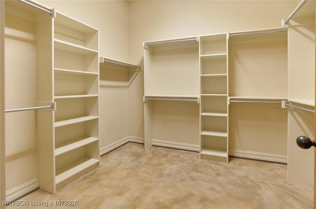 spacious closet with carpet