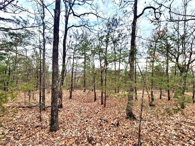 34441 Berryfrost, Poteau OK, 74953 land for sale