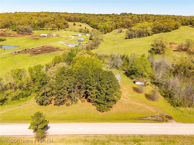 3032 King Dr, Mulberry, AR 72947 - drone / aerial view with a view of trees and a water view